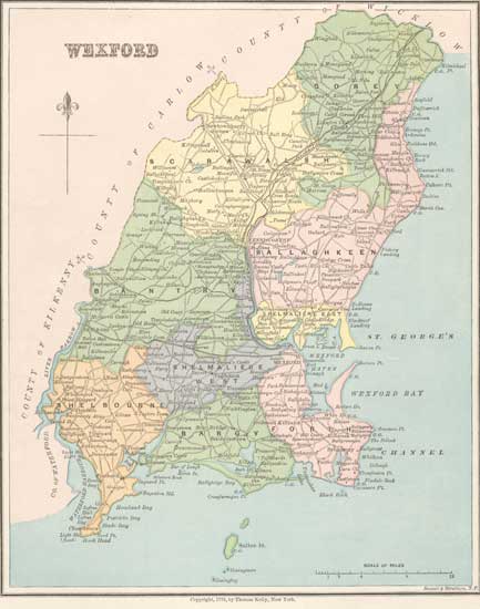 County Wexford, Ireland 1879