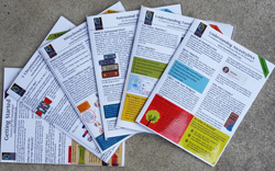 DNA Research Bundle Of 6 Laminated Guides