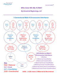 Who Gave Me My X DNA? <em>Ancestral Guide</em> - PDF EBook